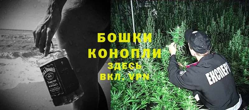 Конопля LSD WEED  где купить наркотик  Саров 